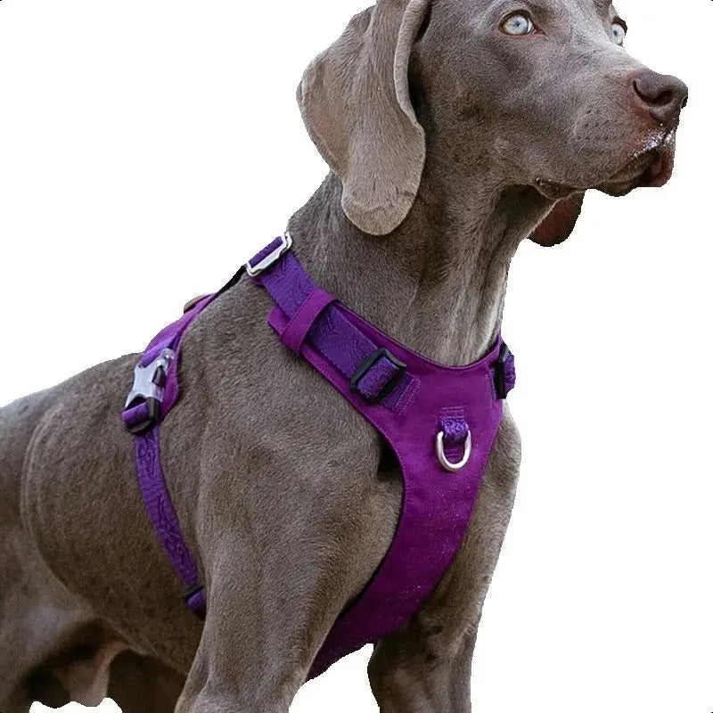 Dog Light Weight Harness Adjustable Outdoor Pet Medium Small Large Adjustable Outdoor Tactical Military Service TLH6281