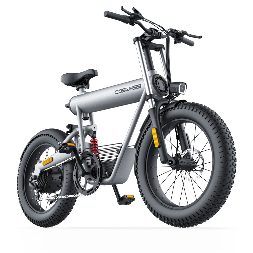Coswheel T20 adult E-bike 500W 48V20Ah battery commute Electric Bike,20-inch Fat Tire E-Mountain bike