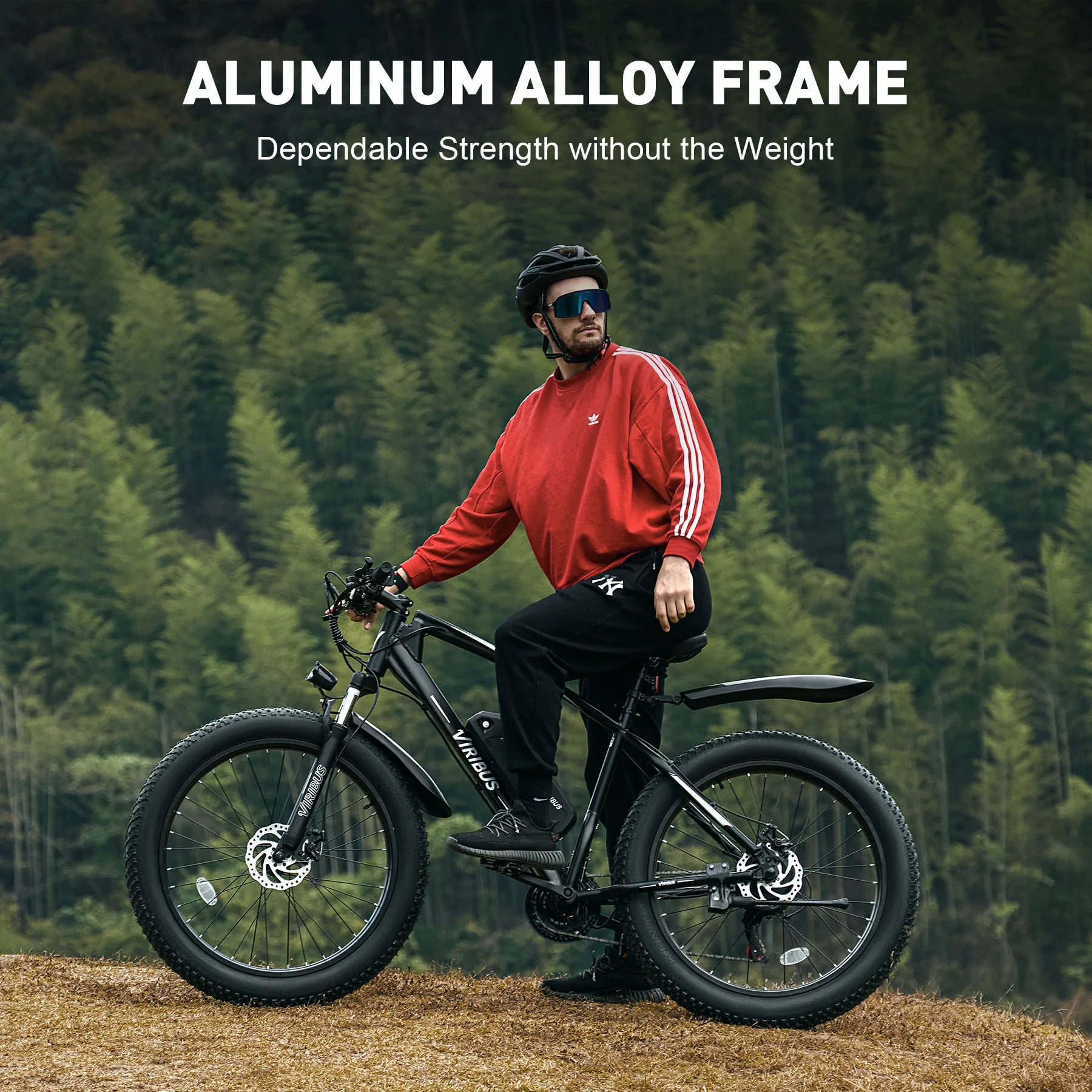 500W Fat Tire eBike 48V Electric Bike for Adults 21 Speed 26" Fat Tire Mountain Ebike 48V 10Ah Battery 20mph PAS