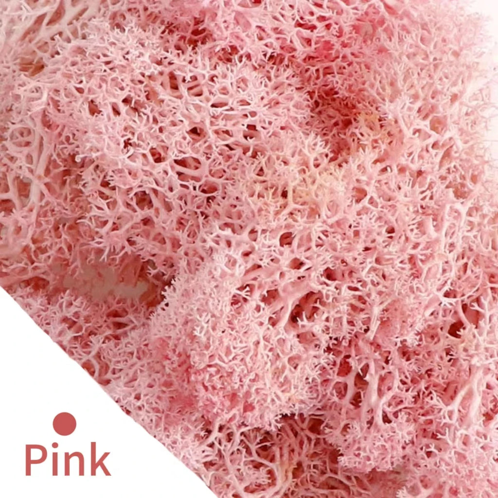 500g/1000g Mini Landscape Fake Grass Eternal Life Moss Grass Artificial Green Plants Home Garden Decoration DIY Crafts