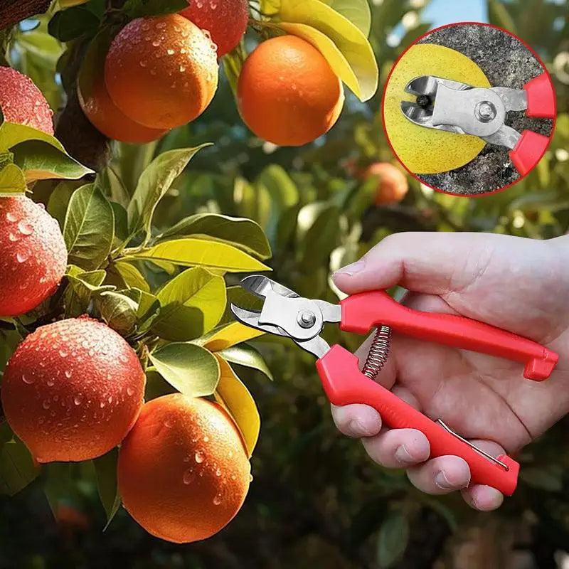 Garden Shears For Fruit Trees Ergonomic Fruit Picking Scissors Durable Gardening Hand Tools Scissors Cutter With Curved Design