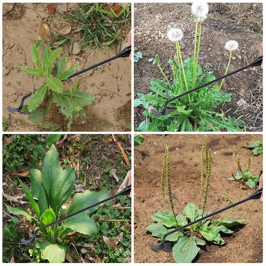 Garden Hoe Agricultural Supplies Weeds Tool Gardening Tools Utensils Hand Herbicide Weed Teacher Farming Farm Accessories