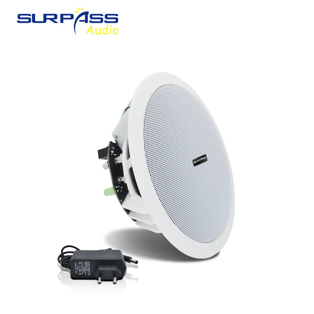 Built-in Class-D Amplifier Full Range Bluetooth-compatible Ceiling Speaker Horn For Home Theater Background Music Good Quality