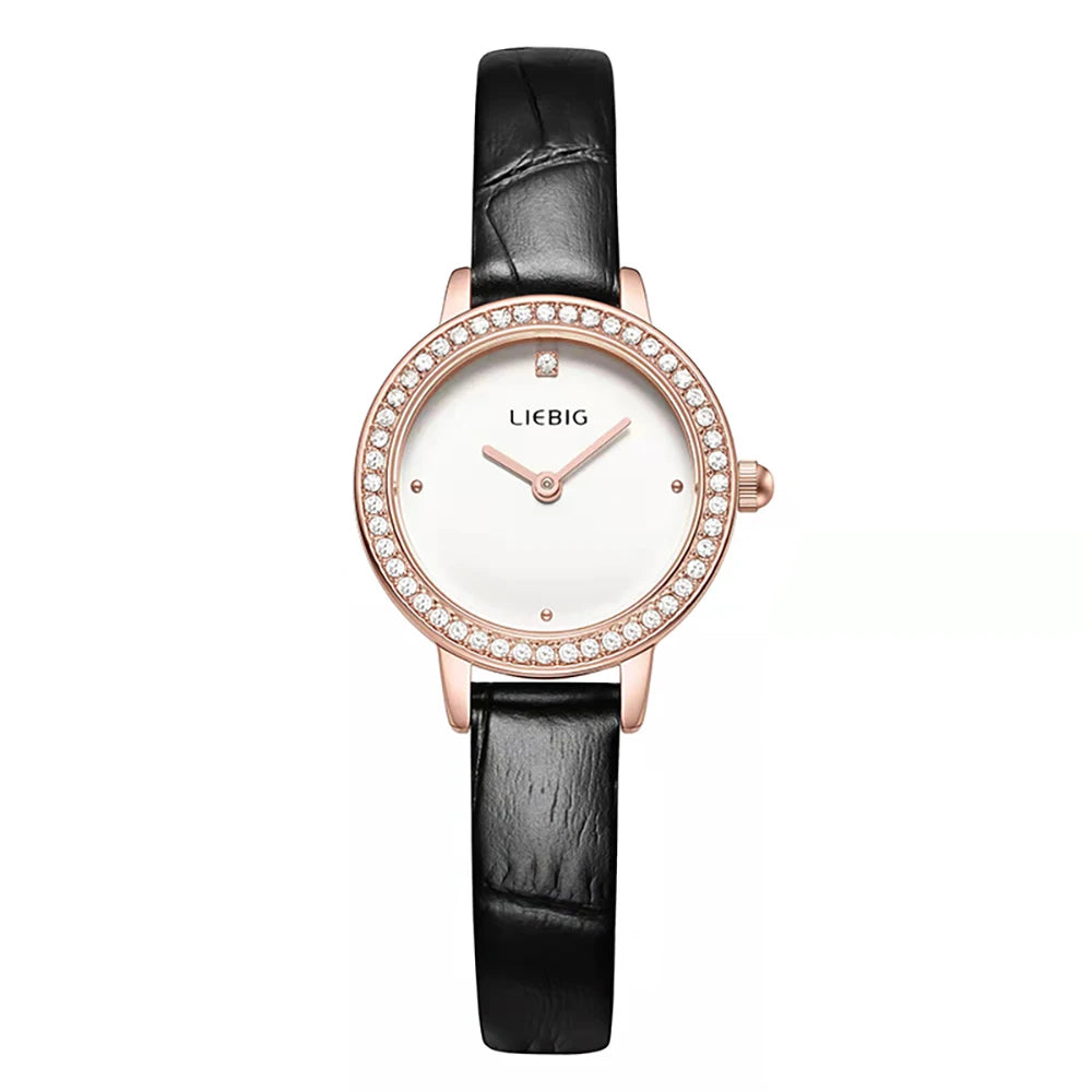 Luxury Women's Quartz watch Fashion Brand Wristwatch Female Waterproof Casual Male Clock Relogio Feminino