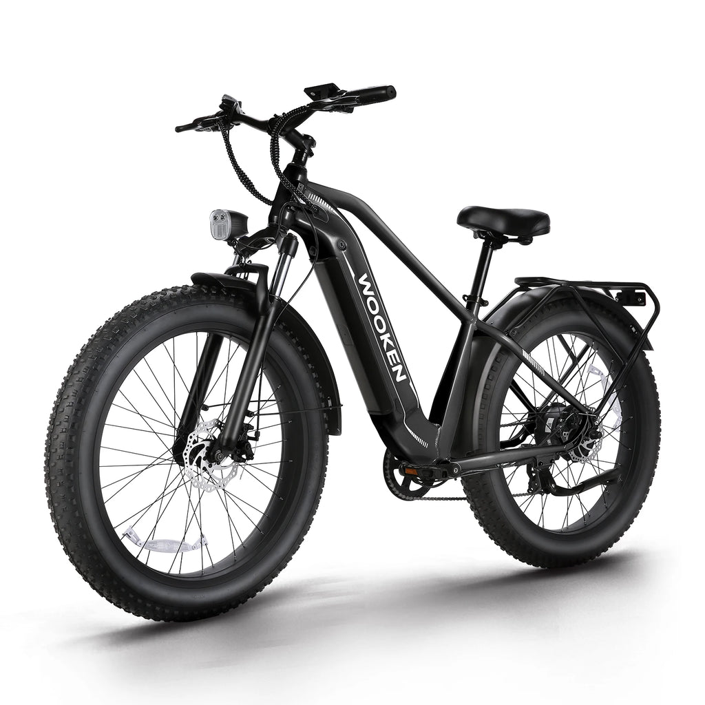 Electric Bike 26" x 4.0 Fat Tire Electric Bike,Peak 1500W Motor EBike for Adults with 48V 720WH Removable Battery, Up to 60Miles