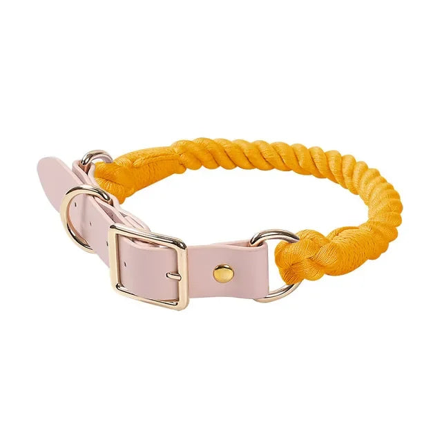 Colorful pu Leather dog Collars Pet Dog Leash Lead For Small Medium Large Dogs Pitbull Bulldog Pugs Beagle Outdoor Walking Rope
