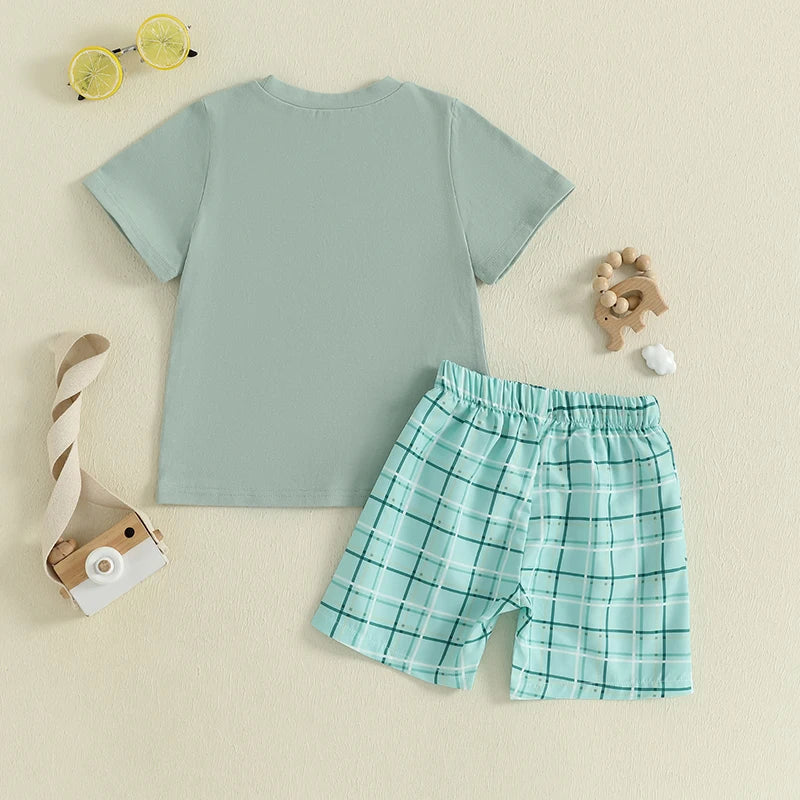 Boys Summer Outfit Set with Short Sleeve O Neck Duck Embroidered Top and Plaid Shorts for a Stylish Look