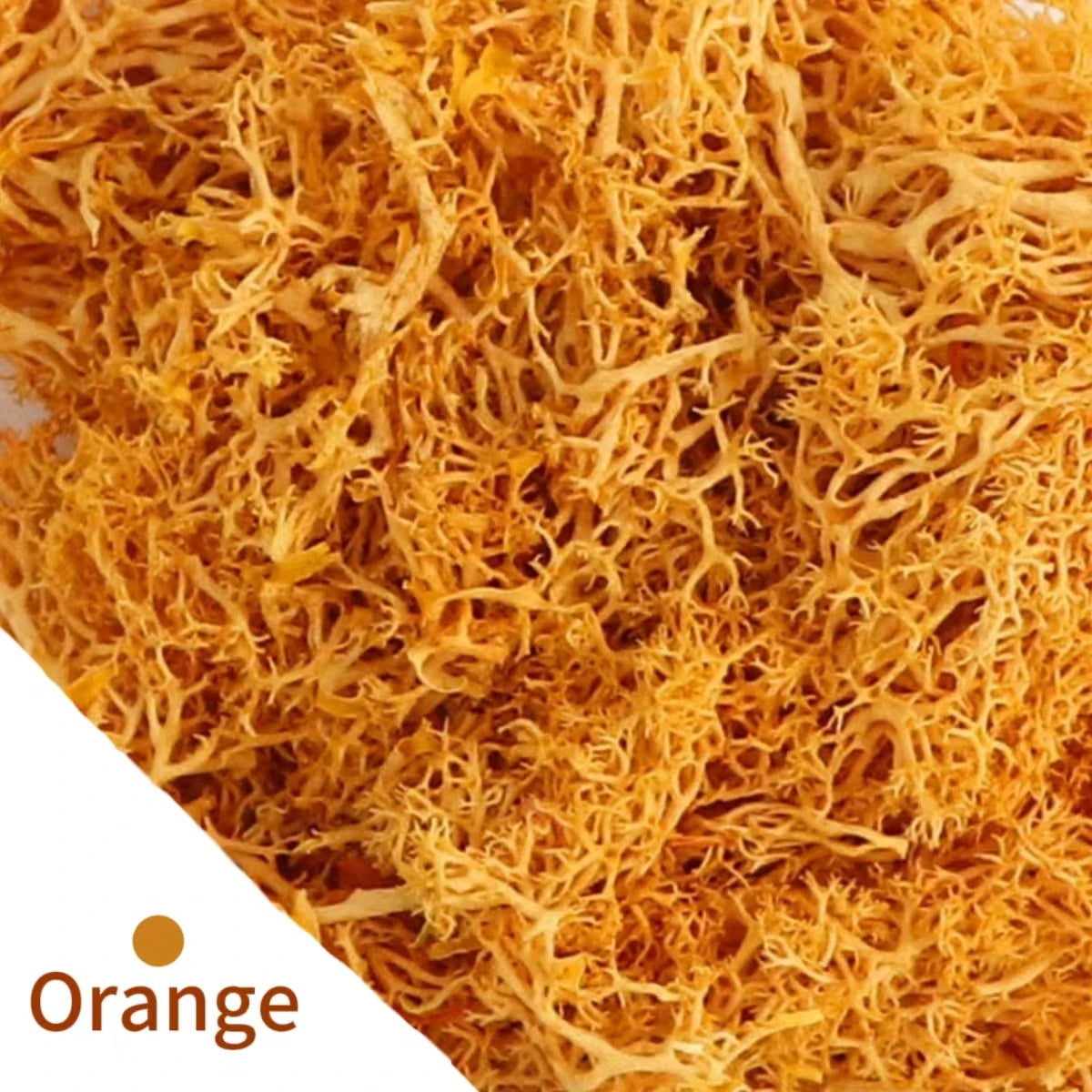 500g/1000g Mini Landscape Fake Grass Eternal Life Moss Grass Artificial Green Plants Home Garden Decoration DIY Crafts