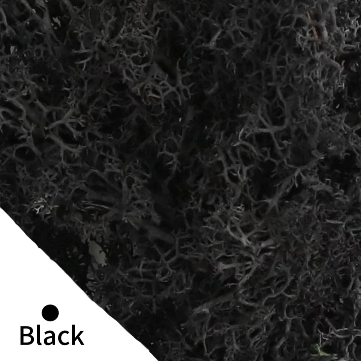 500g/1000g Mini Landscape Fake Grass Eternal Life Moss Grass Artificial Green Plants Home Garden Decoration DIY Crafts