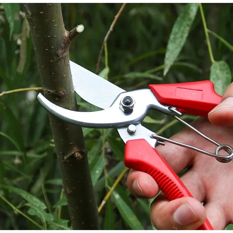 Gardening Pruners Gardening Tools Pruners Bonsai Gardening Shears Pruning Tools Grape Picking Weeds Household Potted Plants