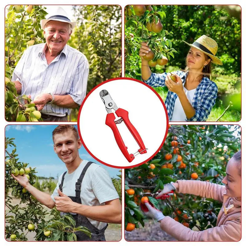 Garden Shears For Fruit Trees Ergonomic Fruit Picking Scissors Durable Gardening Hand Tools Scissors Cutter With Curved Design
