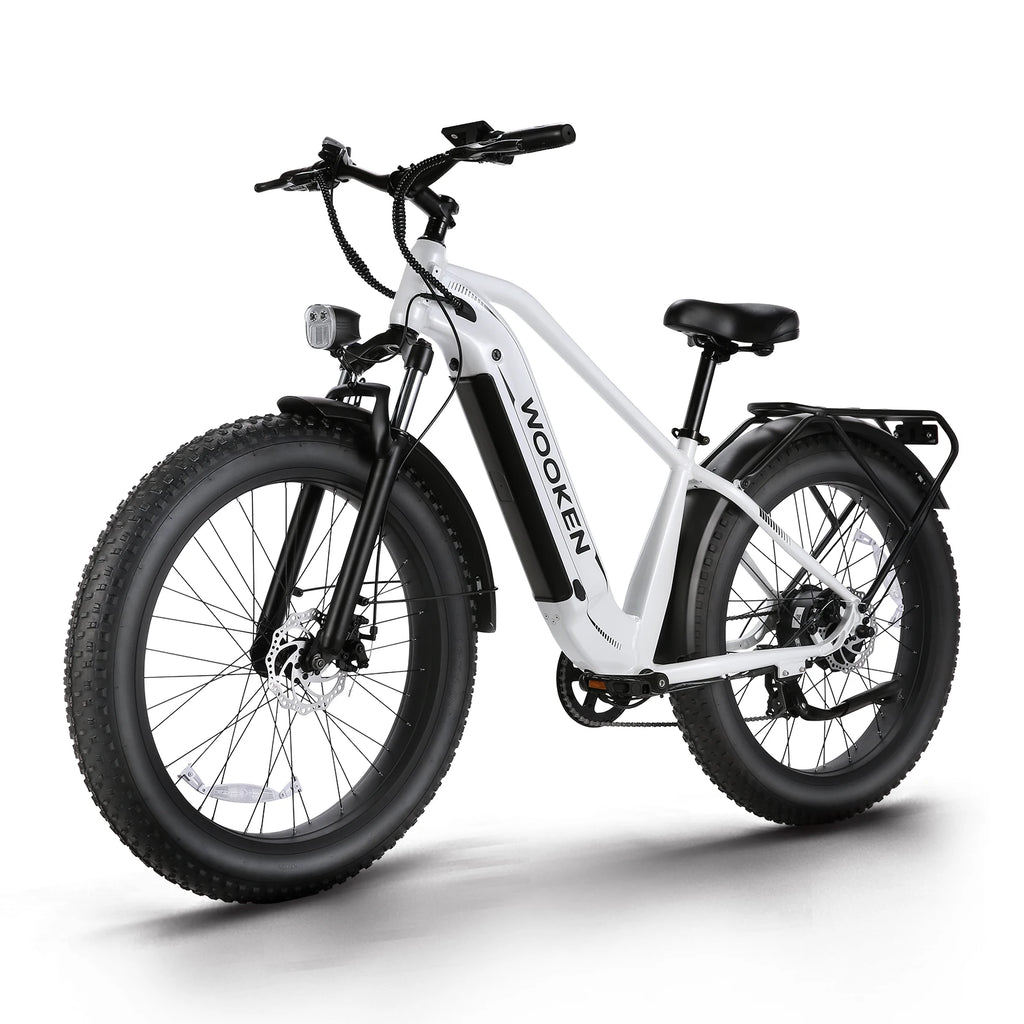 Electric Bike 26" x 4.0 Fat Tire Electric Bike,Peak 1500W Motor EBike for Adults with 48V 720WH Removable Battery, Up to 60Miles
