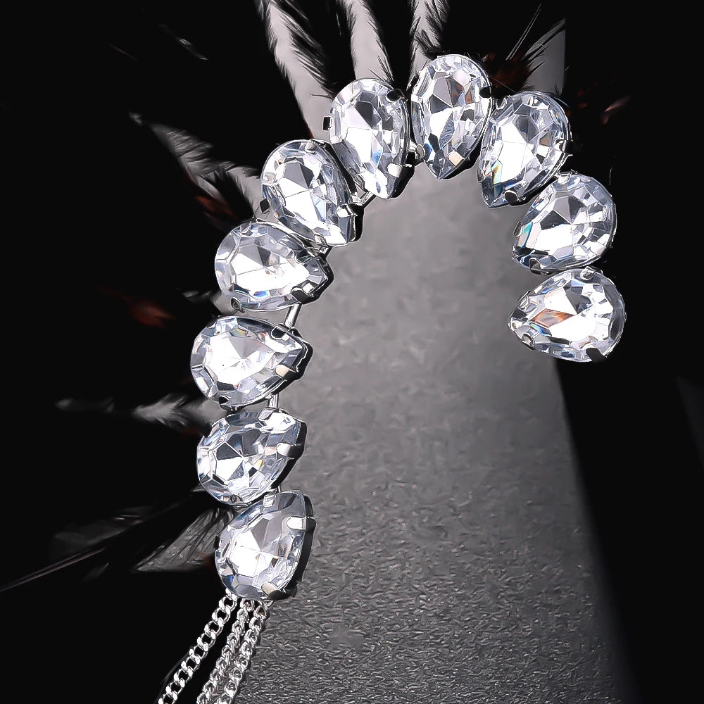 Stonefans Black Feather Ear Pinna Earrings 2024 Designer Trend Vintage No Piercing Accessories Ethnic Wedding Jewelry Dance Gift