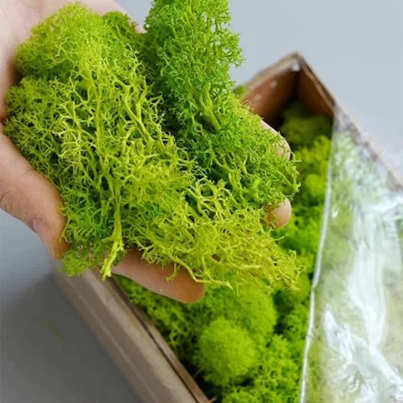 500g/1000g Mini Landscape Fake Grass Eternal Life Moss Grass Artificial Green Plants Home Garden Decoration DIY Crafts