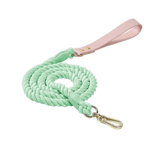 Colorful pu Leather dog Collars Pet Dog Leash Lead For Small Medium Large Dogs Pitbull Bulldog Pugs Beagle Outdoor Walking Rope