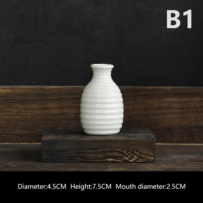 Ins Ceramics Flower Vase Nordic Hydroponics Vases Creative Room Decor Mini Flower Plant Bottle Pots Table Ornament Colorful Vase