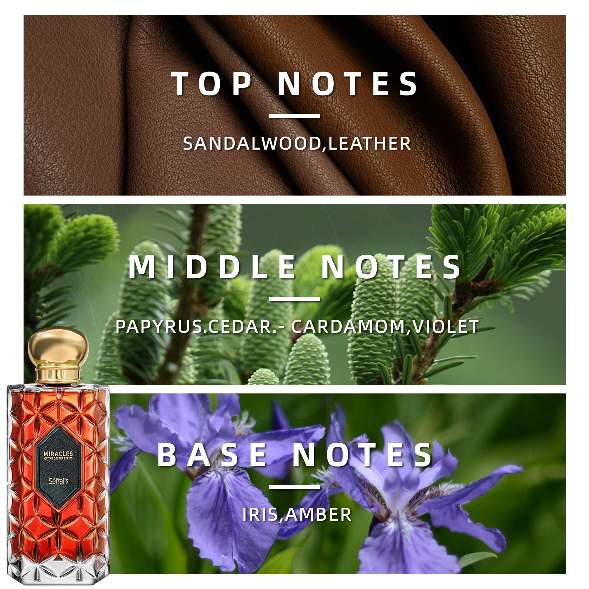 Séfralls High Quality Men Cologne 100ML*2 Oud Wood SandalwoodLong Lasting Strong Pheromone Men's hormones Romance Gentleman