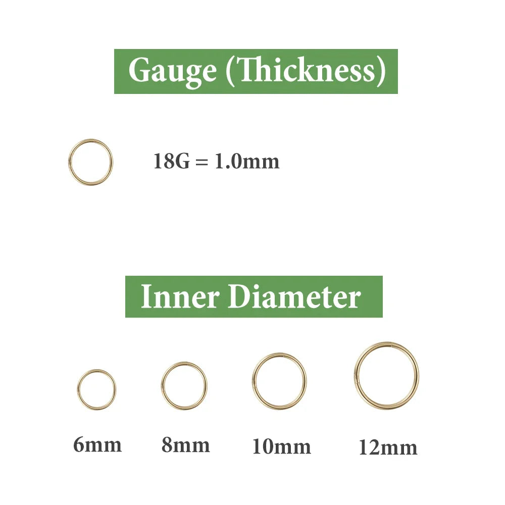 2/8PCS Seamless 316L Stainless Steel Nose Ring Hoop Earrings for Women Men Septum Helix Tragus Ear Piercing Jewelry Tiny 6-12mm