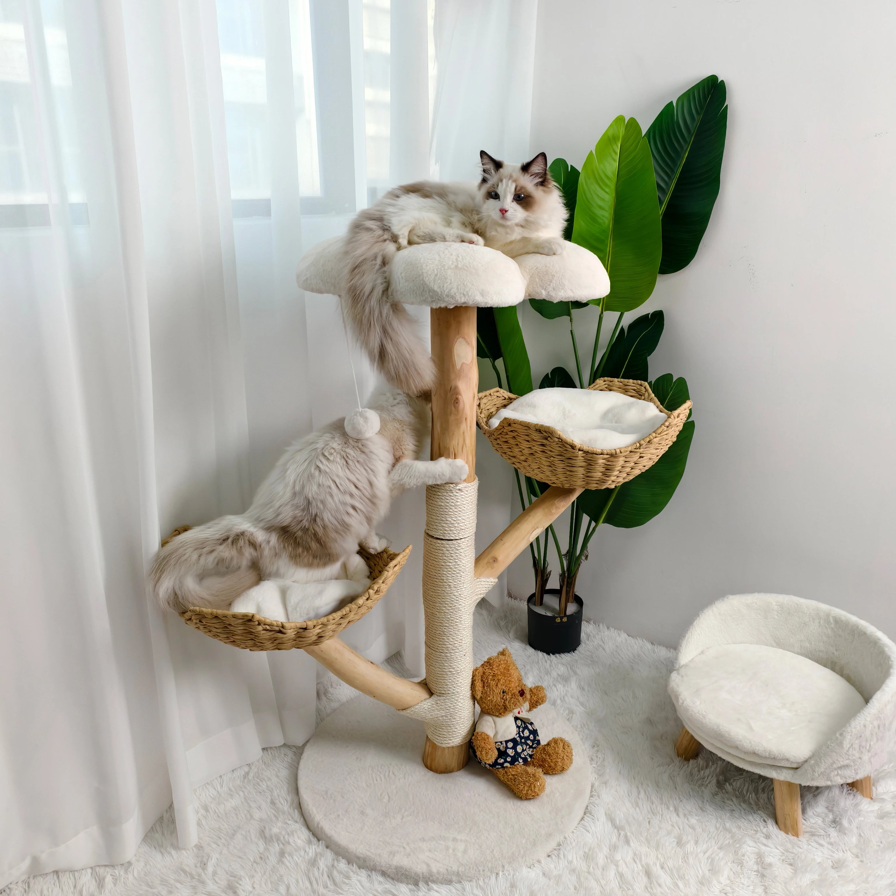 Modern Cat Tree Activity Tower with Plush Cushion and Toy Ball Sisal Scratching Post Kitten Condo Play House for Indoor