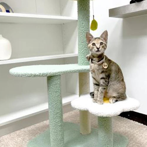 Pet Cat Product Multi-Level Cat Tree Kittens Activity Climbing Cat Flower Tower With Scratching Posts Kitty Pet Play House