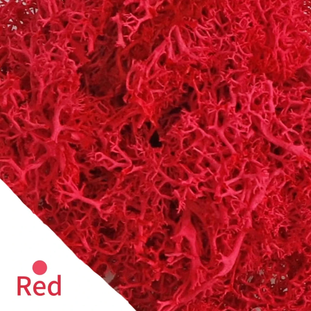 500g/1000g Mini Landscape Fake Grass Eternal Life Moss Grass Artificial Green Plants Home Garden Decoration DIY Crafts