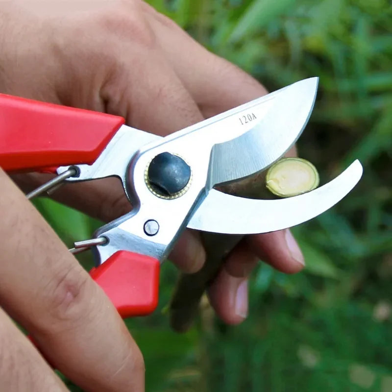 Gardening Pruners Gardening Tools Pruners Bonsai Gardening Shears Pruning Tools Grape Picking Weeds Household Potted Plants