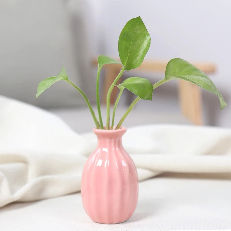 Ins Ceramics Flower Vase Nordic Hydroponics Vases Creative Room Decor Mini Flower Plant Bottle Pots Table Ornament Colorful Vase