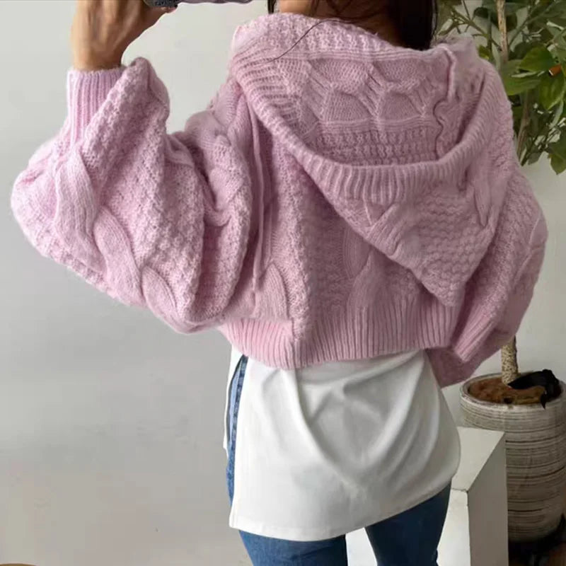 Fashion Hooded Zipper Cardigan Crop Sweater Women Long Sleeve Knitted Casual Short Coats Loose Simple Autumn Winter Clothes