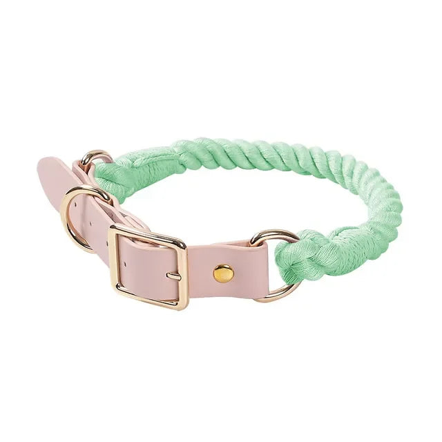 Colorful pu Leather dog Collars Pet Dog Leash Lead For Small Medium Large Dogs Pitbull Bulldog Pugs Beagle Outdoor Walking Rope