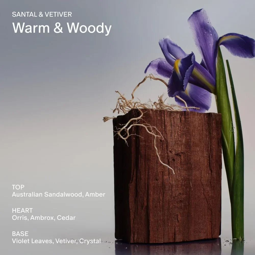 Salt & Stone Body Mist Perfume Fragrance  3.4 fl oz Perfume High Quality Brand Perfume For Men For Women Holiday Gifts