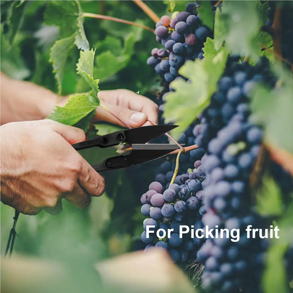 Pruning Shears Household Supplies Home Accessories Multipurpose Bonsai Scissors Leaves Remover Shearing Tools Mini Trimmer