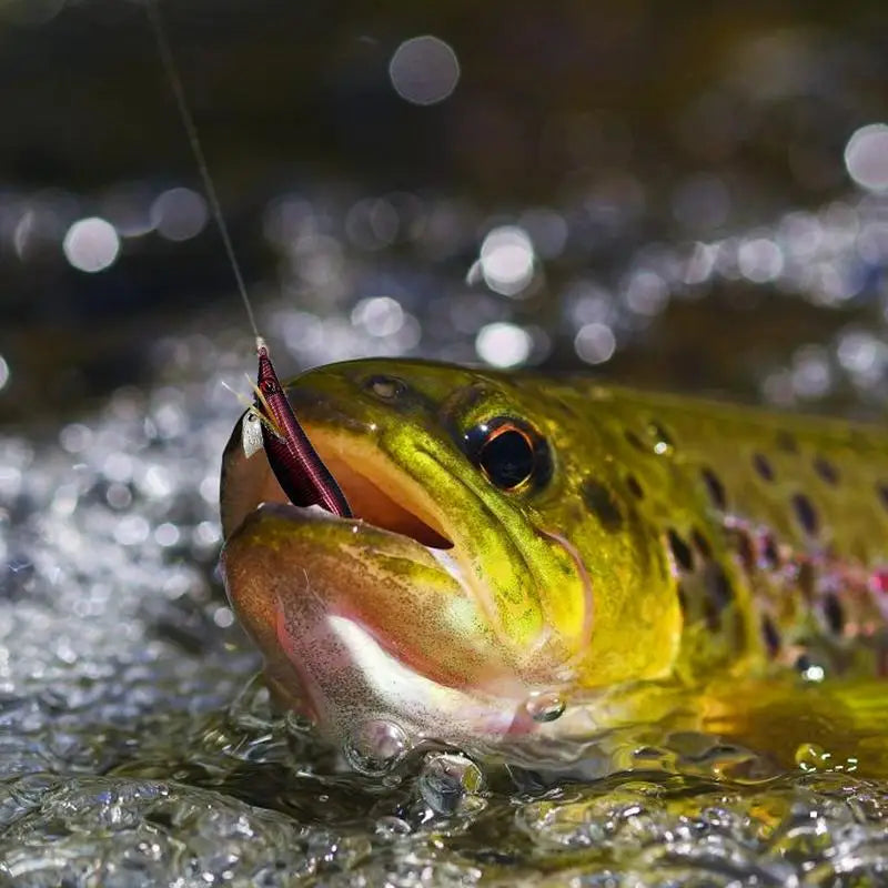 Glowing Squid Jigs Saltwater Shrimp Lures Fluorescent Artificial Fishing Baits Realistic Freshwater Fish Luring Tools supplies