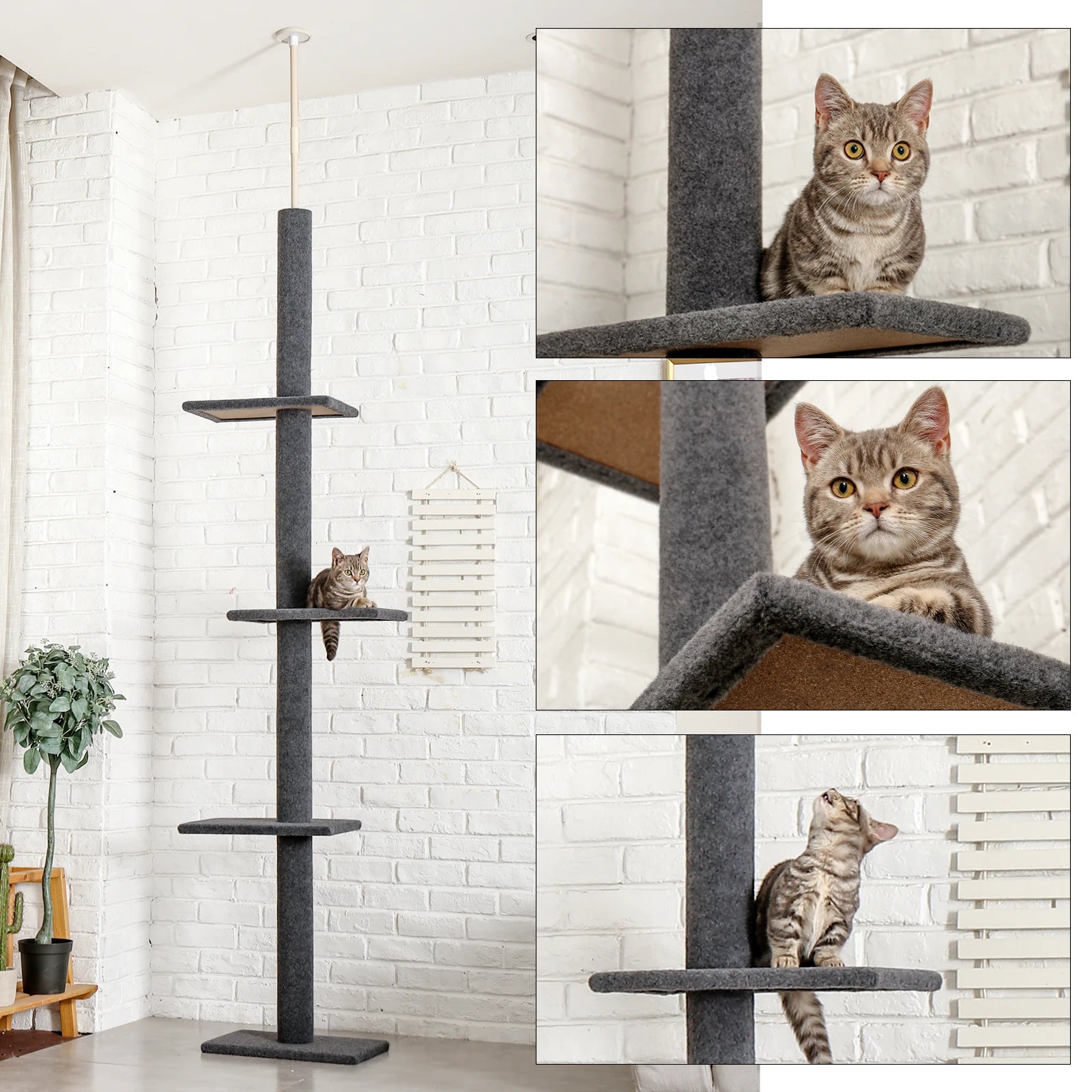 Adjustable Height Cat Tree for Indoor, Floor to Ceiling Cat Tower with Scratching Posts, Cat Scratcher Furniture, Kitten Toys