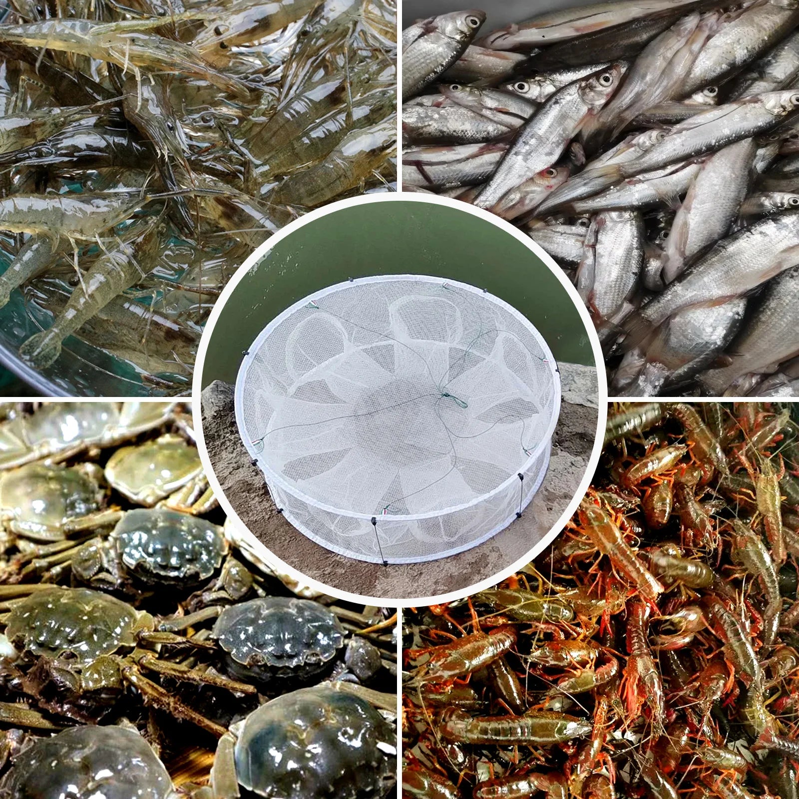 Automatic Folded Fishing Net,Crab Net Fish Net,Casting Cage Crab Net,Foldable Fishing Mesh Trap for,Minnows,Lobster,Crawfish etc