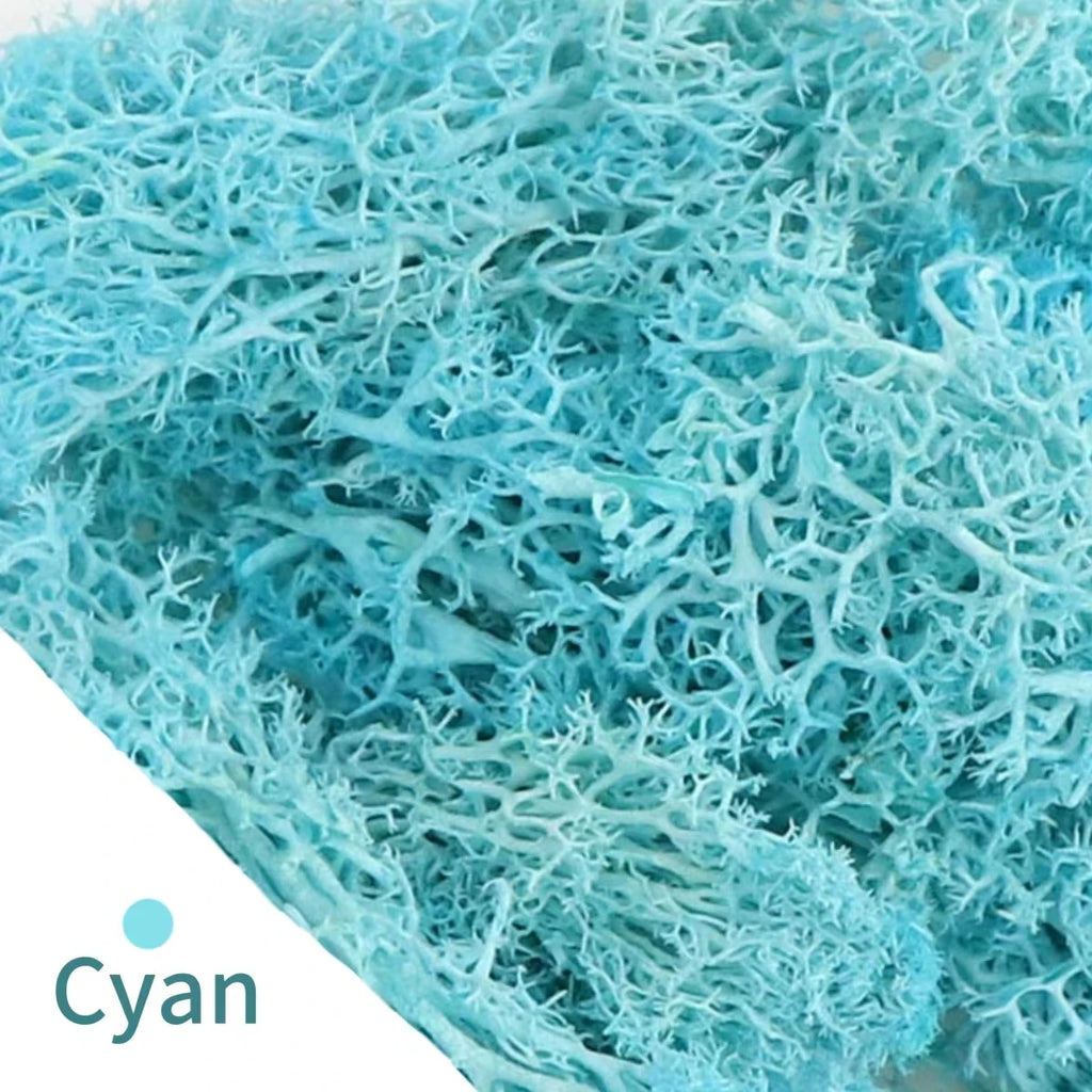 500g/1000g Mini Landscape Fake Grass Eternal Life Moss Grass Artificial Green Plants Home Garden Decoration DIY Crafts