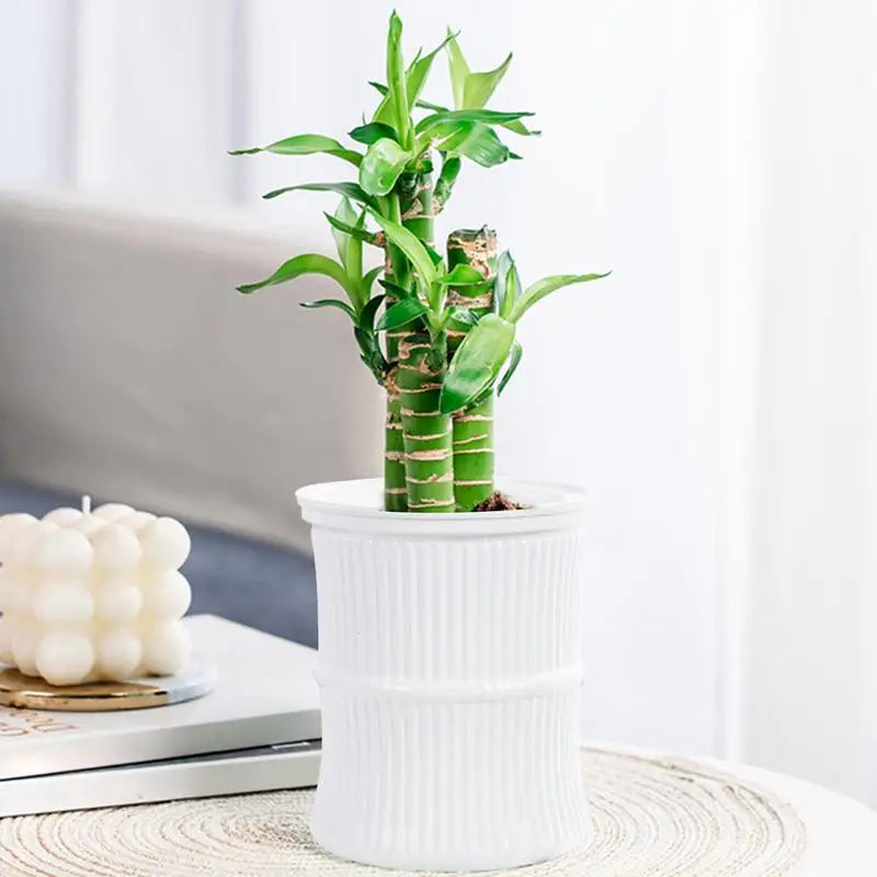 Indoor Plants Watering Pots Small Potted Plants Containers Water Reservoir Pots Leak-Proof Self-Watering Pots For Balcony