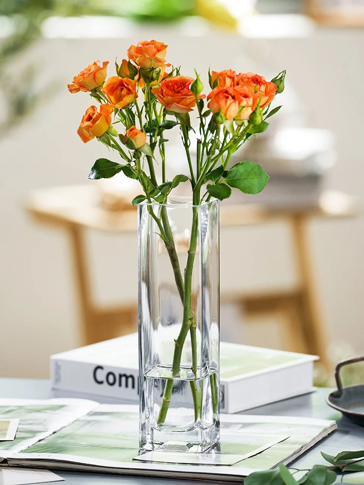 Light Luxury, Creative, High Grade, Original Color Glass, Transparent Vase, Living Room, Soft Decoration, Aquaculture, Flower