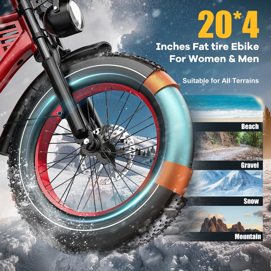 HARTY RE-LA01 Adult electric bike 750W City ebike removable Battery 48v22.5Ah 20 inches fat tire E-Mountain bike