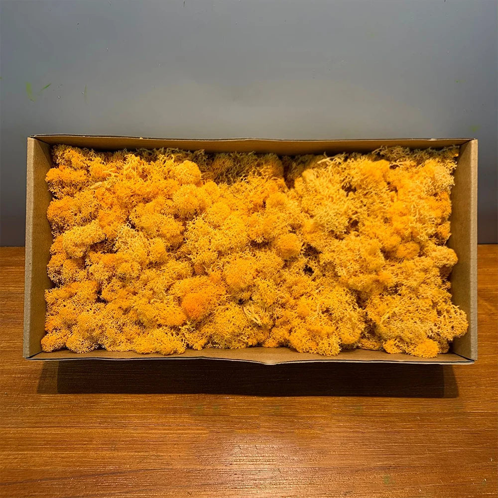 500g/1000g Mini Landscape Fake Grass Eternal Life Moss Grass Artificial Green Plants Home Garden Decoration DIY Crafts