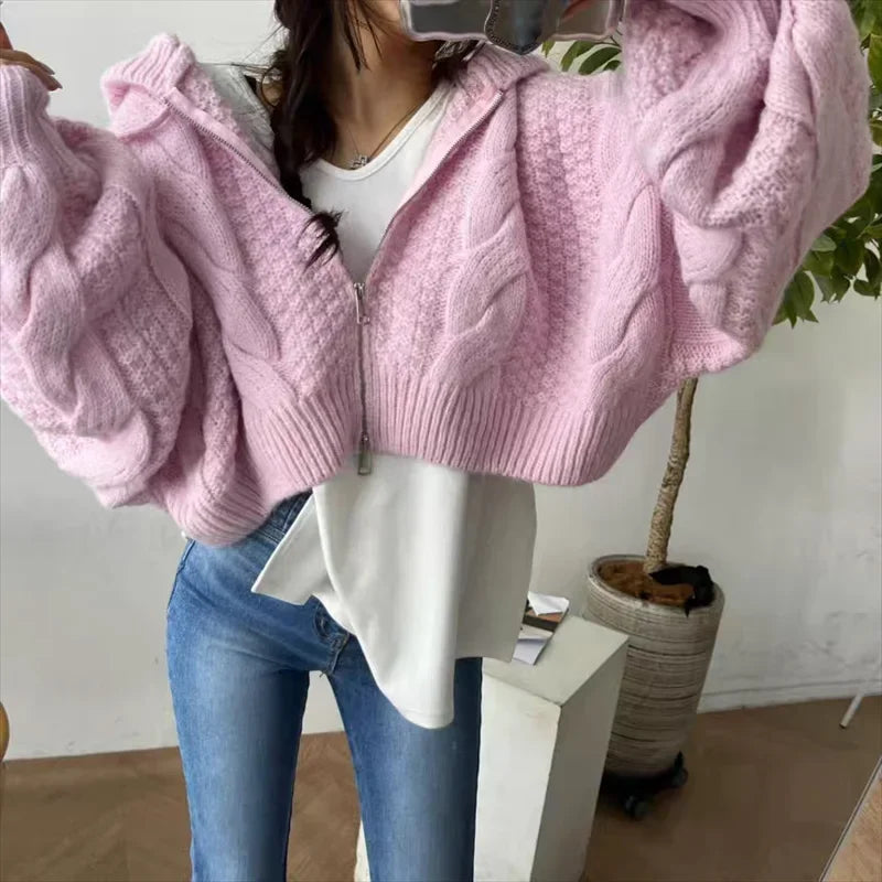 Fashion Hooded Zipper Cardigan Crop Sweater Women Long Sleeve Knitted Casual Short Coats Loose Simple Autumn Winter Clothes