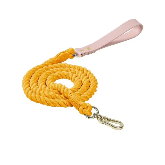 Colorful pu Leather dog Collars Pet Dog Leash Lead For Small Medium Large Dogs Pitbull Bulldog Pugs Beagle Outdoor Walking Rope