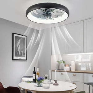 Modern Ceiling Fans Lamp Led Fan Light RC Dimmable Summer Winter Energy Conservation Fan Lamps 6 Level Luminaire Home Appliance