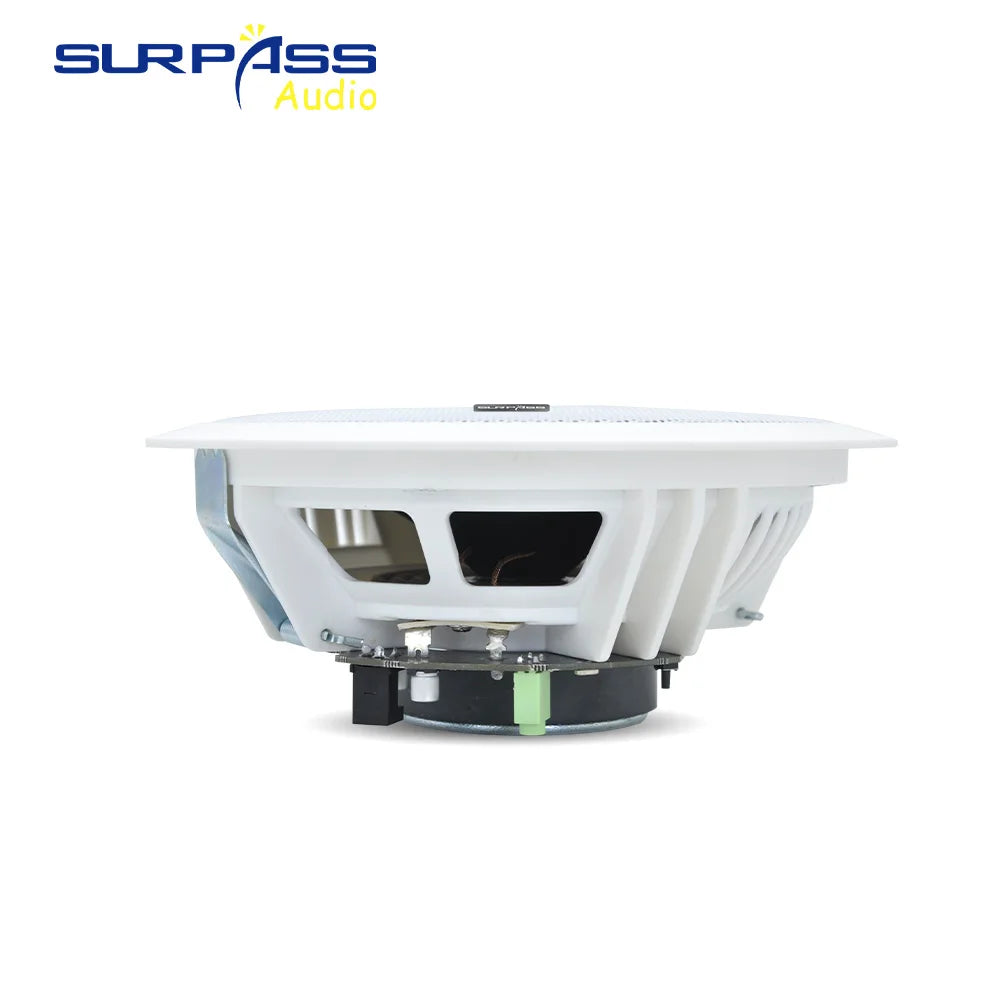Built-in Class-D Amplifier Full Range Bluetooth-compatible Ceiling Speaker Horn For Home Theater Background Music Good Quality
