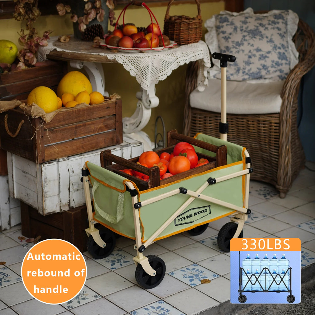 Collapsible Wagon Carts,Folding Wagon Cart with All Terrain Wheels,Outdoor Utility Wagon for Camping Shopping Sports Fishing