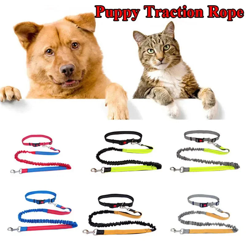 2022 New Adjustable Hand Free Dog Leash for Dog Pet Walking Running Jogging Dog leashes Waist Belt Chest Strap Traction Rope Dog