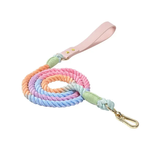 Colorful pu Leather dog Collars Pet Dog Leash Lead For Small Medium Large Dogs Pitbull Bulldog Pugs Beagle Outdoor Walking Rope