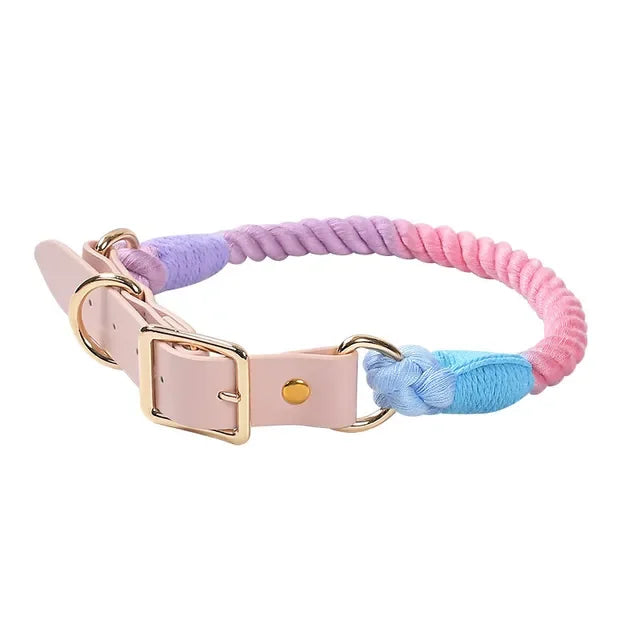 Colorful pu Leather dog Collars Pet Dog Leash Lead For Small Medium Large Dogs Pitbull Bulldog Pugs Beagle Outdoor Walking Rope