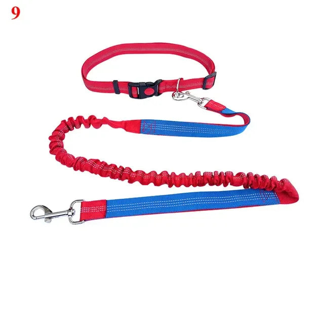 2022 New Adjustable Hand Free Dog Leash for Dog Pet Walking Running Jogging Dog leashes Waist Belt Chest Strap Traction Rope Dog