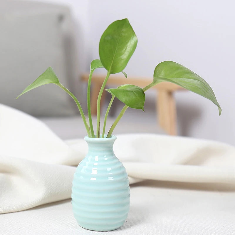 Ins Ceramics Flower Vase Nordic Hydroponics Vases Creative Room Decor Mini Flower Plant Bottle Pots Table Ornament Colorful Vase