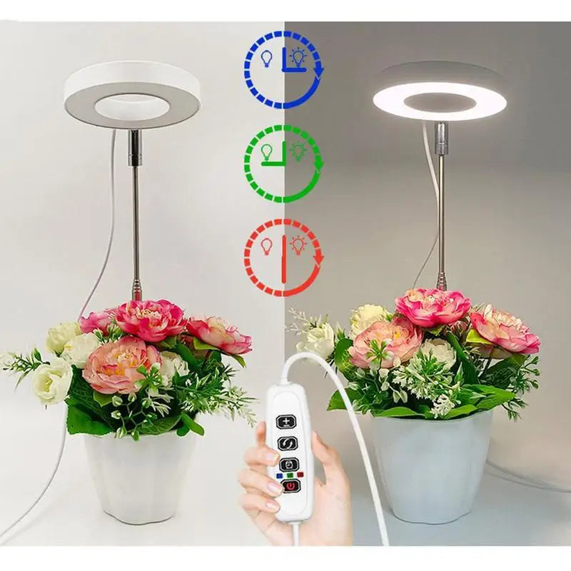 Plant Lights for Indoor Growing Sun Simulation Fill Lamp for Flower LED Full Spectrum Grow Lights for Indoor Plants with 360